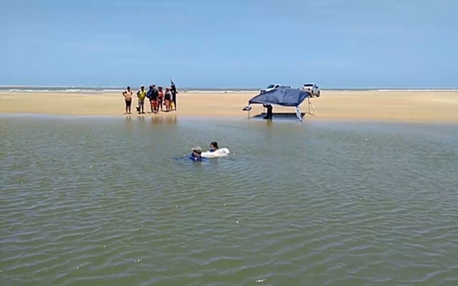 Golfinho é resgatado na Praia da Caueira, em Itaporanga
