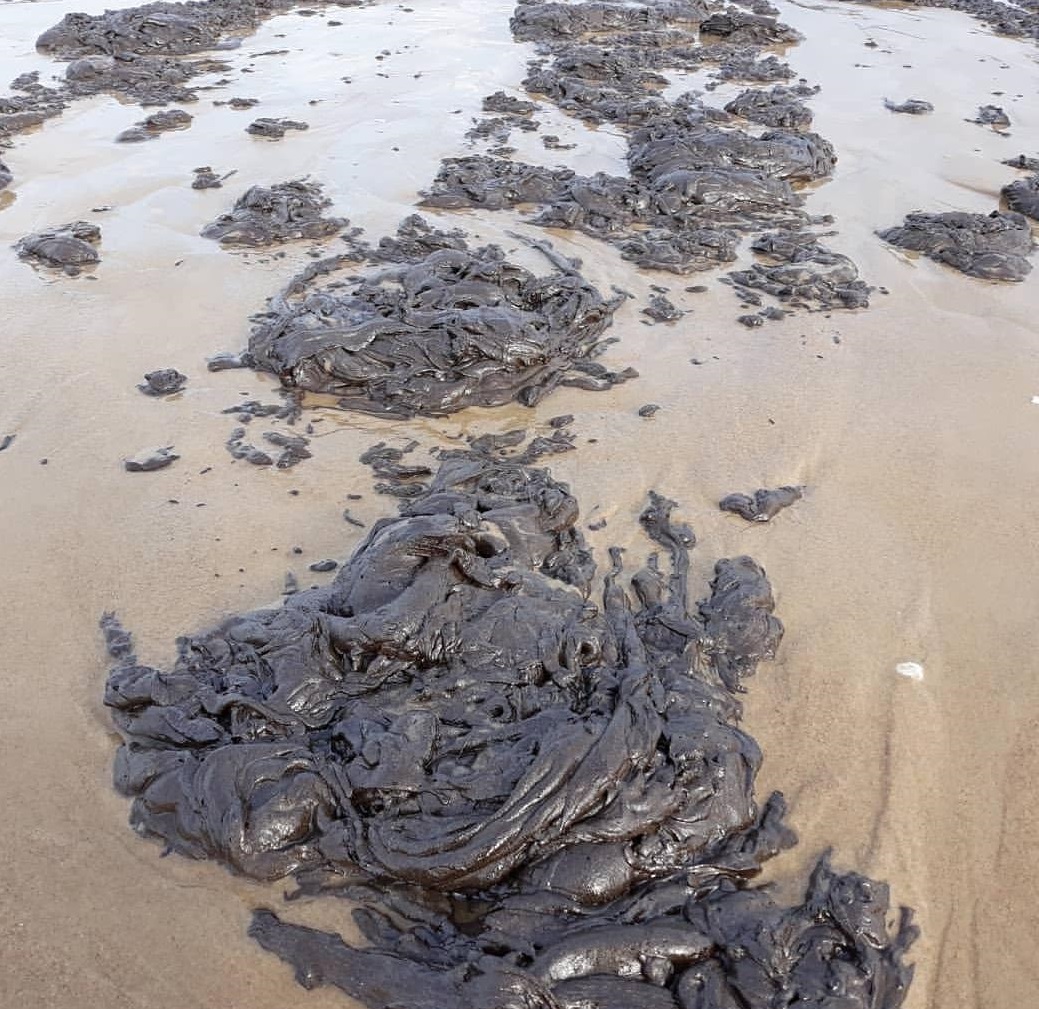 Manchas de óleo são encontradas em praias de Aracaju e do Abaís
