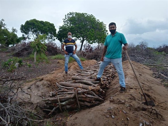 Estância: Fiscalização da SEMMA flagra desmatamento ilegal e carvoaria