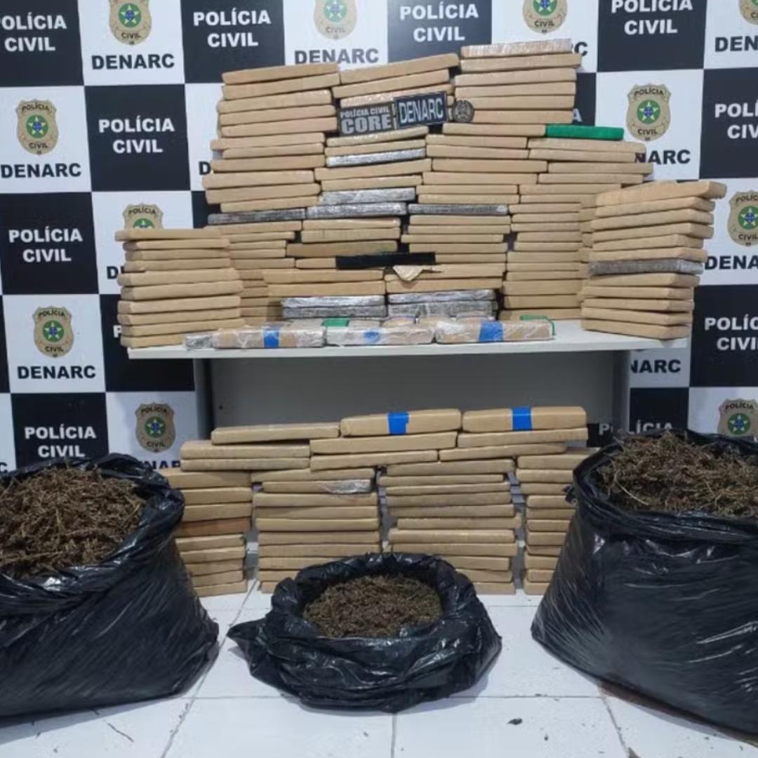 Operação do DENARC apreende cerca de 300 quilos de maconha em Cristinápolis